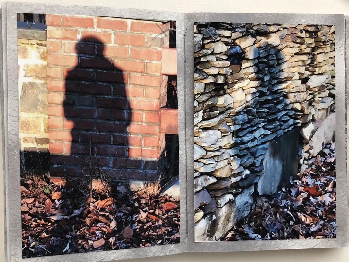 shadow book.jpg